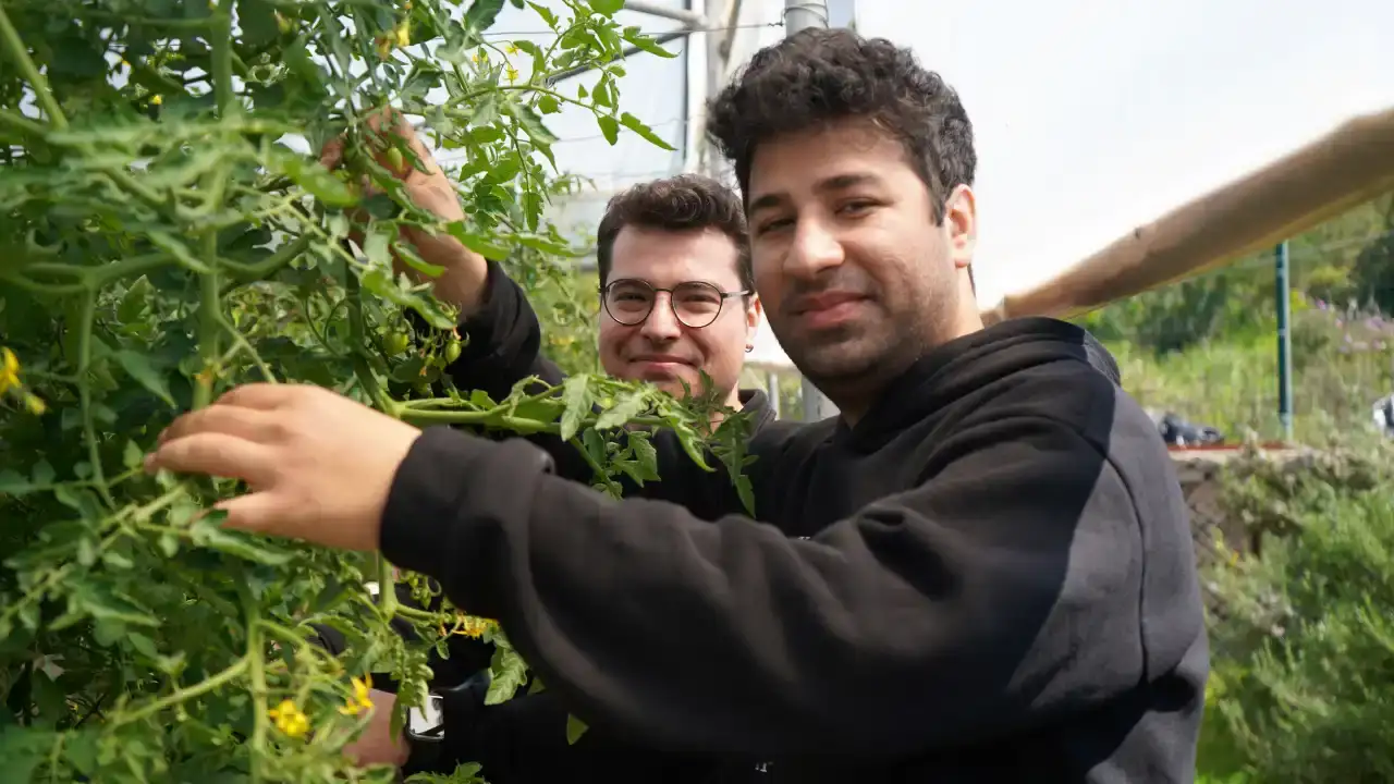 Akdeniz Üniversitesi’nde 'Maaşlı Terapi' Dönemi 5